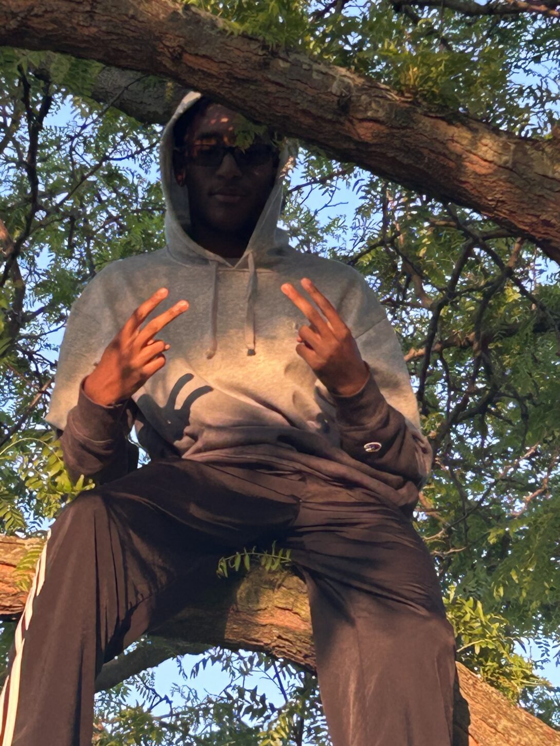 Photo of student in tree holding up peace signs
